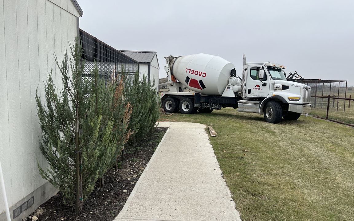 Bengal Kittens for sale near me